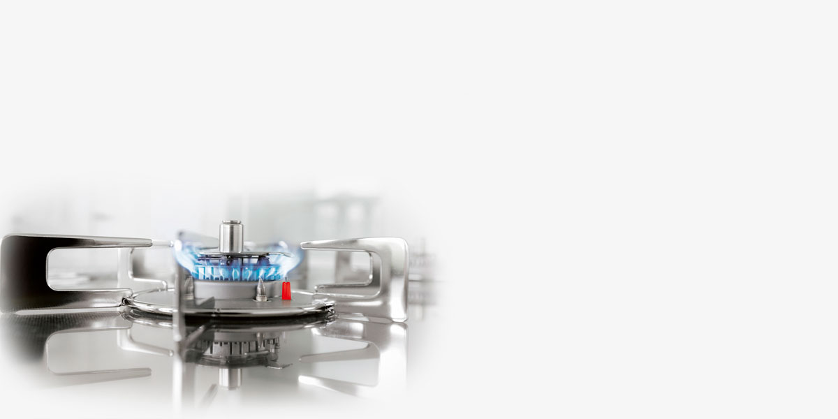 GAS NATURAL DE CEPSA